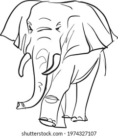 
Vector illustration of an elephant on a white background