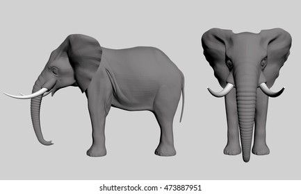 vector illustration of an elephant polygonal side and front 3d