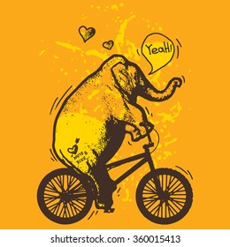 vector illustration of the elephant riding bicycle