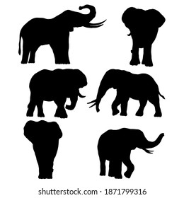 vector illustration, elephant, set of drawings, template silhouette, isolate