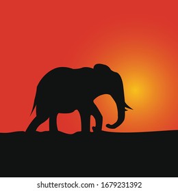 Vector illustration of elephant silhouette on sunset