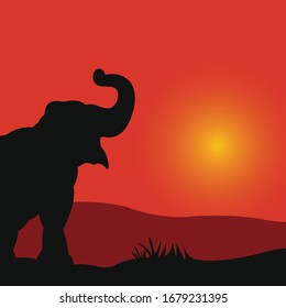 Vector illustration of elephant silhouette on sunset