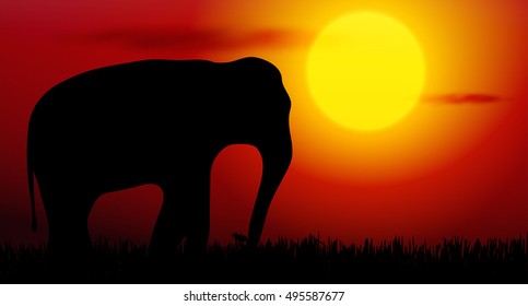 Vector illustration of elephant silhouette on sunset
