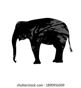 Vector illustration of Elephant Silhouettes with brush srokes texture background. Distressed overlay texture. Grunge background. Abstract textured effect.