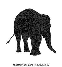 Vector illustration of Elephant Silhouettes with brush srokes texture background. Distressed overlay texture. Grunge background. Abstract textured effect.