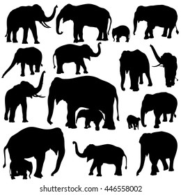 Vector illustration of Elephant silhouettes isolated on white background. 