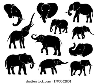 Vector illustration of Elephant silhouettes on white background.