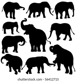 Vector illustration of Elephant silhouettes on white background.