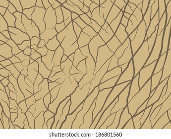 vector Illustration of Elephant skin for Wallpaper