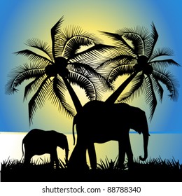 vector illustration of  elephants