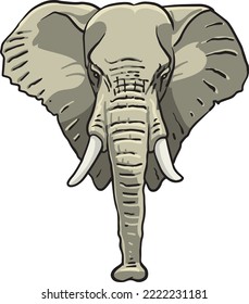 Vector Illustration of elephant's head
