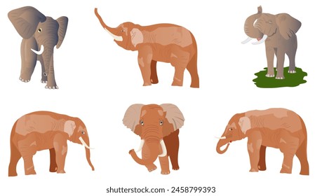 Vector illustration of elephants. Set of elephants in the most common positions isolated on white.
