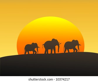 Vector illustration of elephants silhouetted against the setting sun