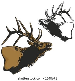 Vector illustration of an elk.