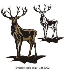 Vector illustration of an elk.