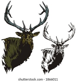 Vector illustration of an elk.