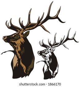 Vector illustration of an elk.