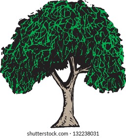 Vector illustration of an elm tree
