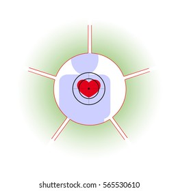 Vector illustration. The emblem, logo. The human heart at risk. Healthy lifestyle. human contour. Five separate sections. Different colors.