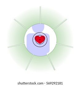 Vector illustration. The emblem, logo. The human heart at risk. Healthy lifestyle. human contour. Seven separate sections. Different colors.