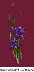 Vektorgrafik-Stickerei-Violett-Iris