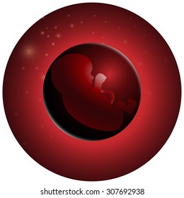 vector illustration of embryo, germ design, baby, fetus concept, nucleus, life, logo