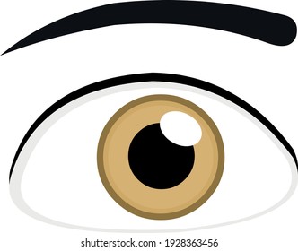 Vector illustration of an emoticon of an eye with a woman's eyebrow, with a brown pupil