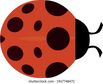 Vector illustration of emoticon of a ladybug