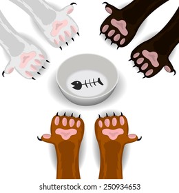 vector illustration empty bowls, and paws kittens who ask to eat