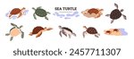Vector illustration with an empty space for text with spotted sea turtles and their cubs, they swim in the sea and crawl on the sand. It is suitable for underwater marine designs.