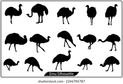 vector illustration of Emu silhouette
