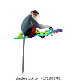 Vector illustration of endangered  red-shanked douc langur monkey. The monkey is sitting on a branch in the wild. Animal protection and rescue Vietnam and Asia