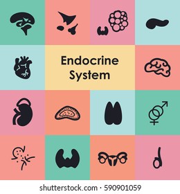 vector illustration of endocrine system icons set