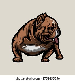 vector illustration of english bulldog