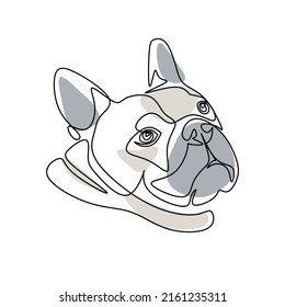 Vector illustration of english bulldog portrait