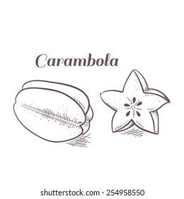 Vector illustration of engraving carambola