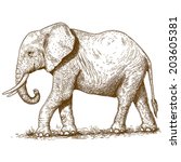 vector illustration of engraving elephant on white background