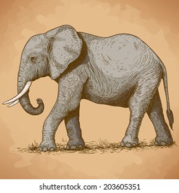 ilustración vectorial del elefante grabado en estilo retro