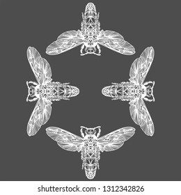 Vector illustration of the engraving highly detailed hand-drawn beetle with wings, insect on gray background - vector pattern for print.