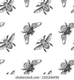 Vector illustration of the engraving highly detailed hand-drawn beetle with wings, insect on white background. Concept for wedding, holiday, birthday, logo, tattoo. Isolated on background.
