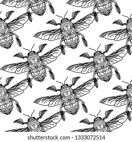 Vector illustration of the engraving highly detailed hand-drawn beetle with wings, insect on white background. Elegant and cute illustration.