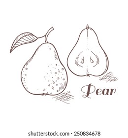 Vector Illustration Of Engraving Pear. Outline Style