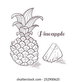 Vector illustration of engraving pineapple