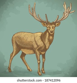 鹿 正面 のイラスト素材 画像 ベクター画像 Shutterstock