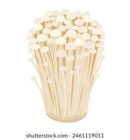 Vector illustration of enoki mushroom