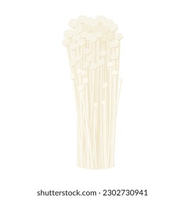 Vector illustration of enoki mushrooms.