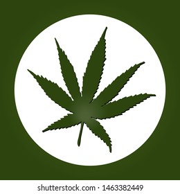 Vector illustration for environmental theme - Green hemp leaf in a white circle on a green background. For medicine, cosmetology, web site, boutique, shop