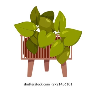 Ilustración vectorial de epipremnum en una hermosa maceta decorativa.