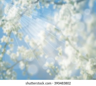 Vector illustration EPS 10. Ecology label. White spring flowers on a tree. Spring blossoming. Spring blurred background. Mesh blurred background. Template for poster.