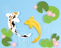 A Vector Illustration In Eps 10 Format Of Two Beautiful Koi Carp Swimming In A Clear Pool With Rippled Water Lilly Leaves And Pink Flowers